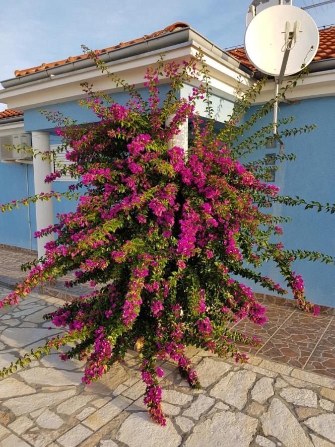 Holiday Home Ankica Razanac Bagian luar foto