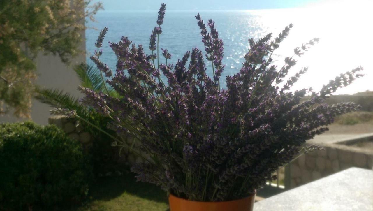 Holiday Home Ankica Razanac Bagian luar foto